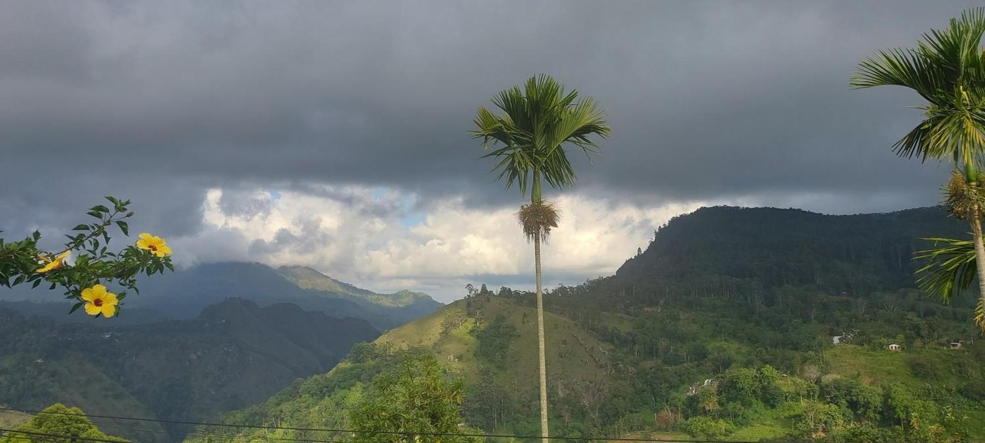 Meditation Monastery Stay Ella Luaran gambar
